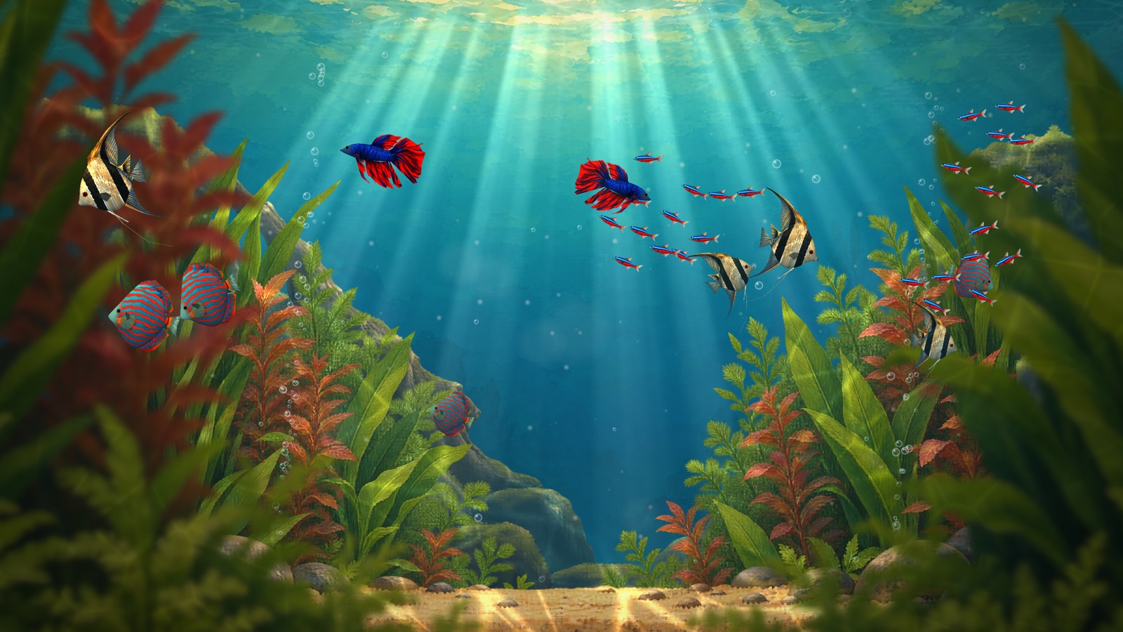 Das Aquarium aus Glow & Flow mit Fischschwarm und Lichtstrahlen