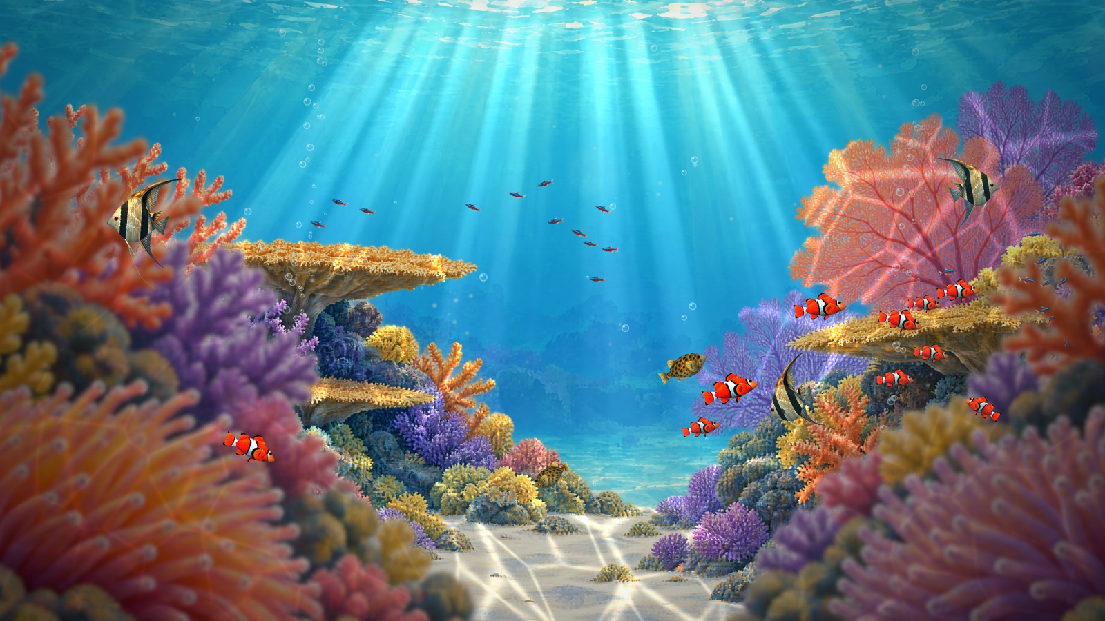 Coral reef with clownfish